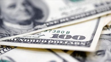 Torbica "manja od zrna soli" prodata za 63.750 dolara Photo of Torbica “manja od zrna soli” prodata za 63.750 dolara