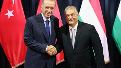 Erdogan i Orban razgovarali u Budimpešti o bilateralnim odnosima Photo of Erdogan i Orban razgovarali u Budimpešti o bilateralnim odnosima